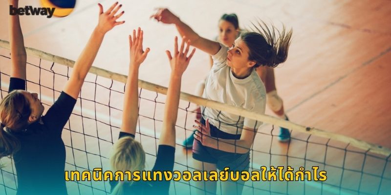 เทคนิคการแทงวอลเลย์บอลให้ได้กำไร